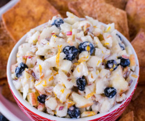 Skinny-Apple-Blueberry-Salsa-2-1-575x863